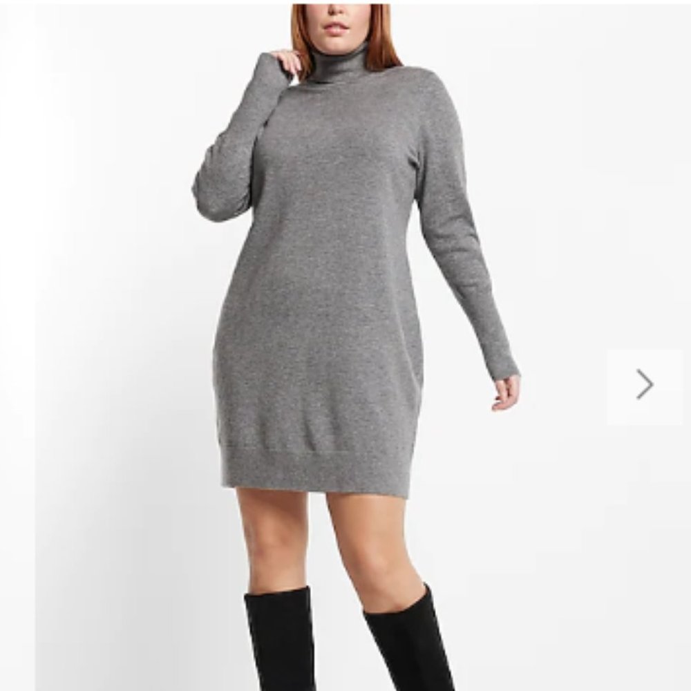 Express Supersoft Turtleneck Long Sleeve Mini Sweater Dress Size Small